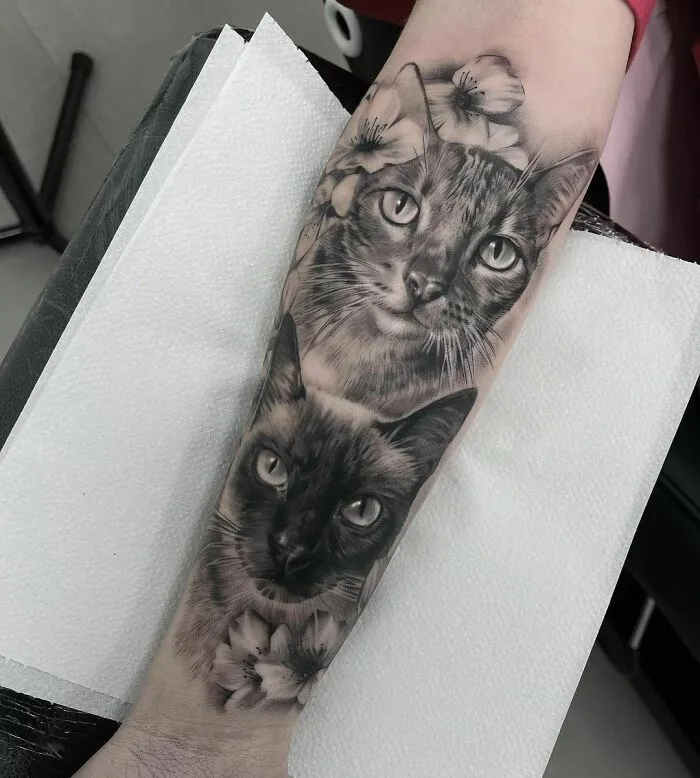 Two Kitties With A Flower Background