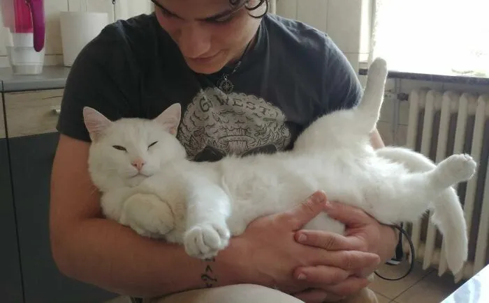 Myself And The Great White Chonker