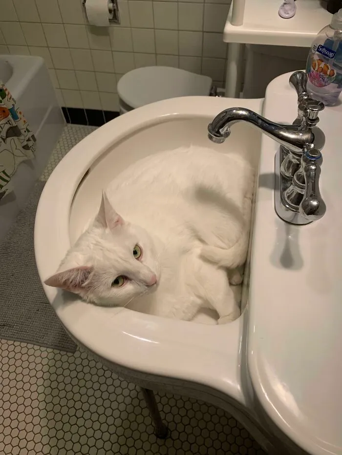Camouflage