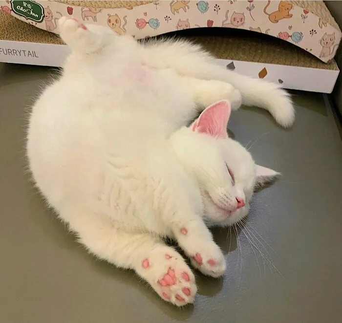 Correct Sleeping Position