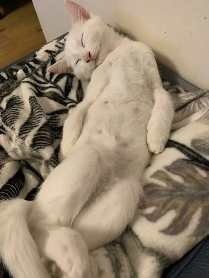Weird Position But Ok
