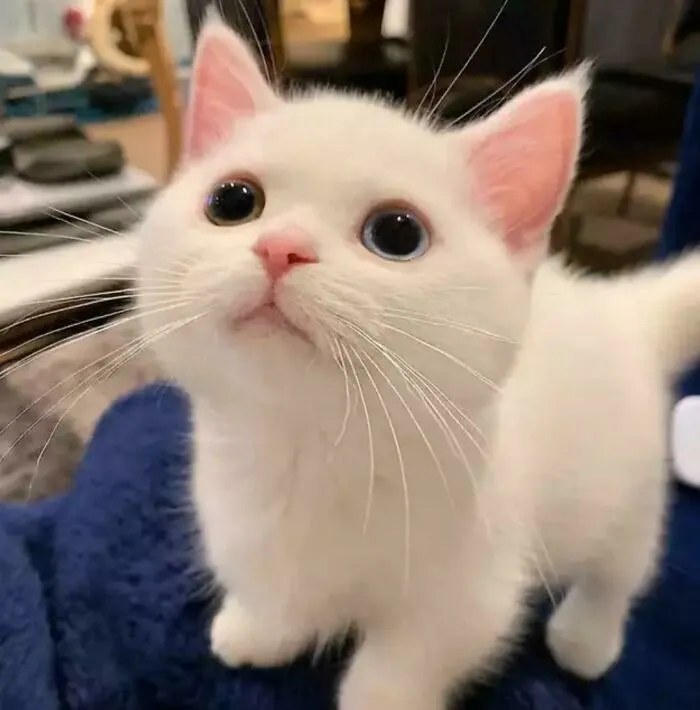 She's So Cute