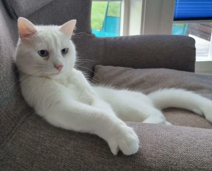 Contemplating The "Emptiness" Of The Food Bowl