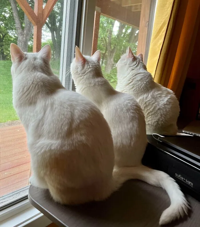 Rare Picture Of My 3