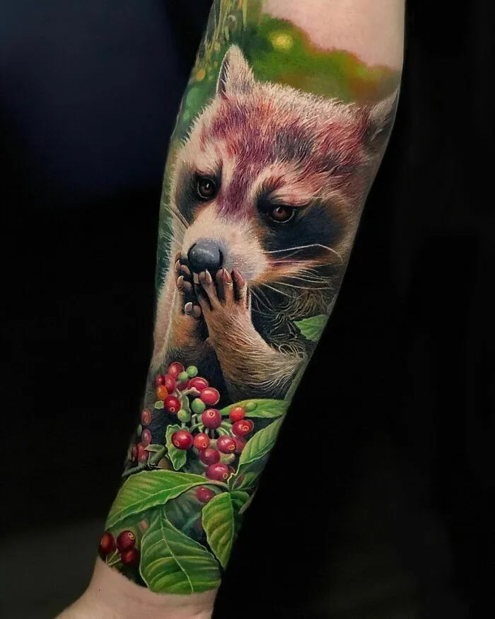 Adorable Racoon