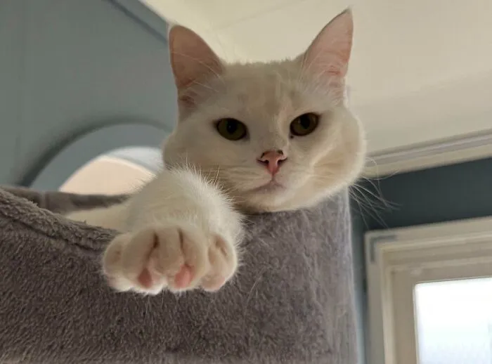 Hey You!
