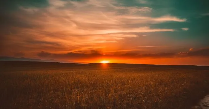 Watch The Sunrise 