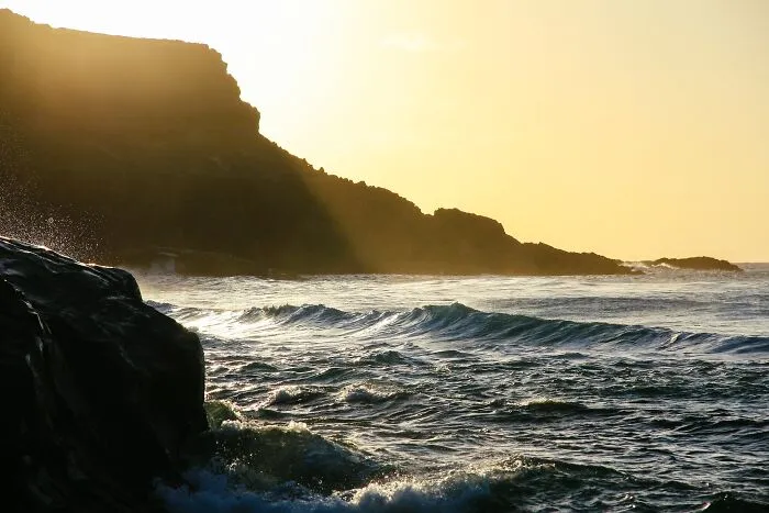 Visit The Ocean