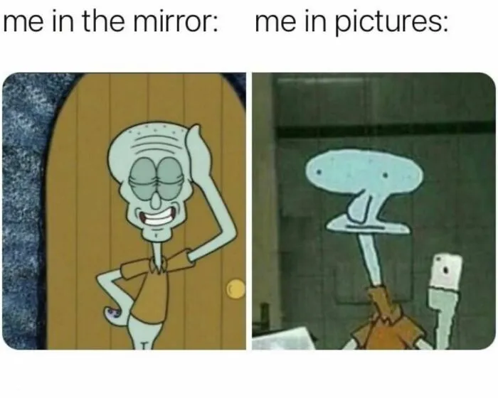 Over A Million People Are Cracking Up Over The Painfully Relatable Memes Shared On "Evil Kermit" (50 Pics)