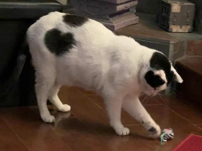 Almost 2 Hearts!