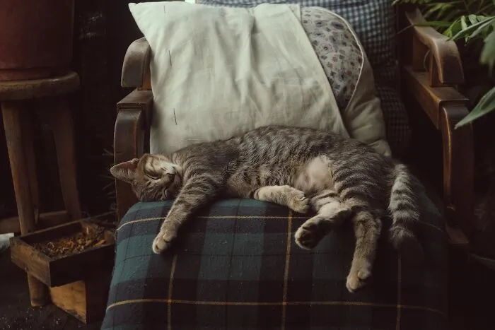 Have A “Do Nothing” Day