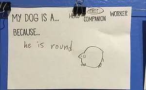 "Kids Who Mean Well": 40 Examples Of Kids' Honesty Hilariously Backfiring