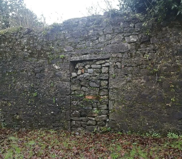 This Wall Looks Like It Holds Rare Item In A Game