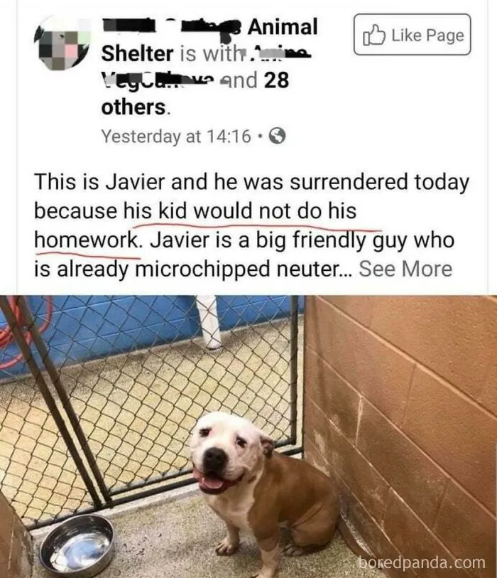 Don't Punish The Dog For Your Terrible Parenting
