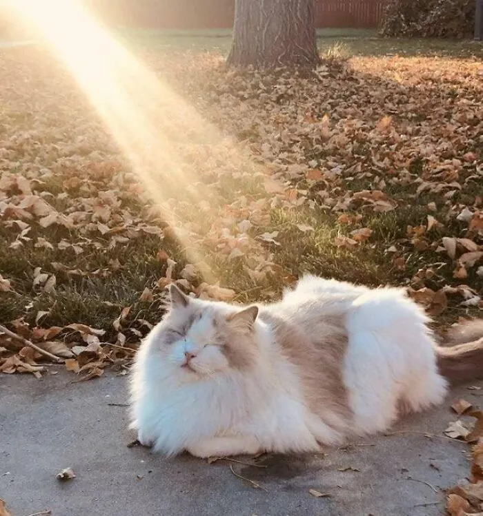 I Think He Has A Quest. Do You Approach Him?