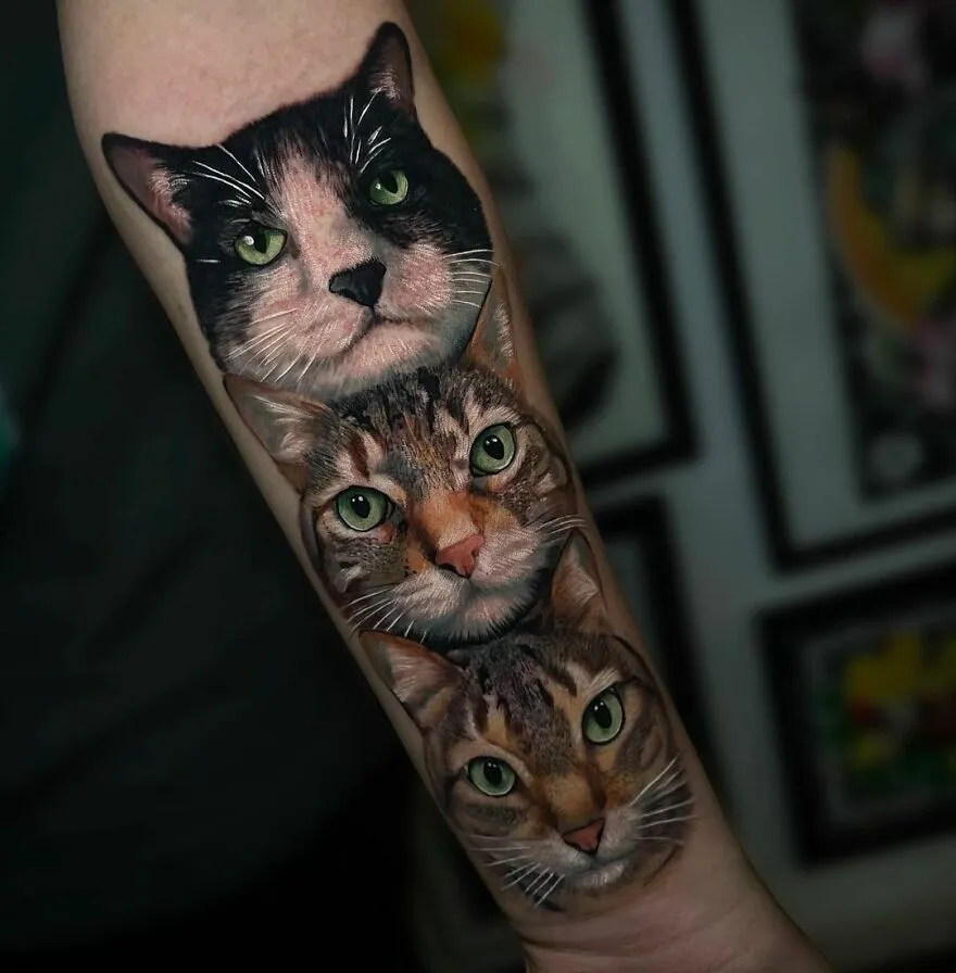 "Gatos"