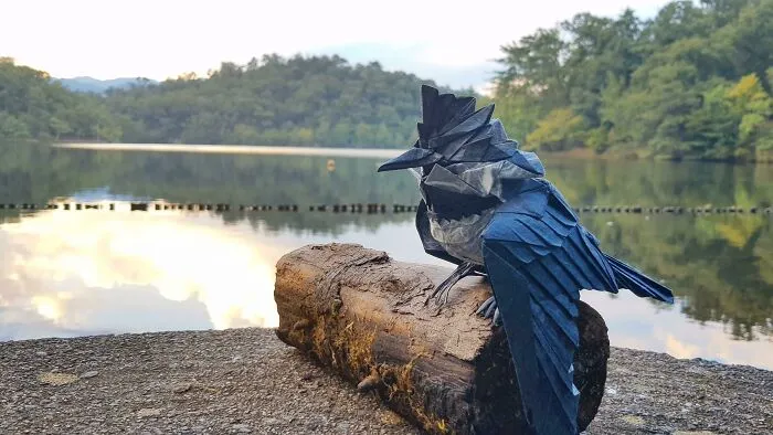 a paper black Crested Kingfisher sitting on the log near the lake 