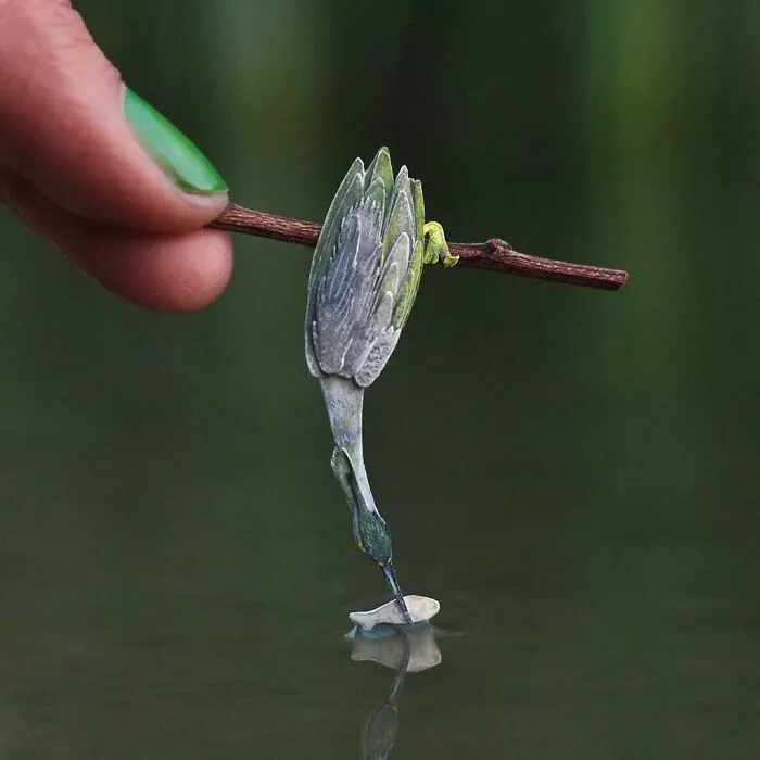 a little colorful bird with a fish in its beak  