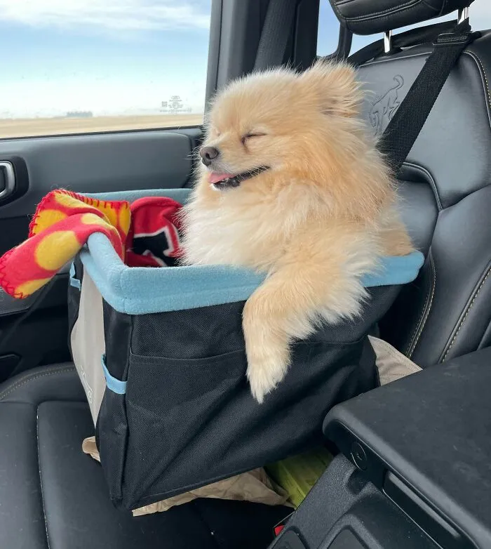 Vinny. My Road Trip Partner