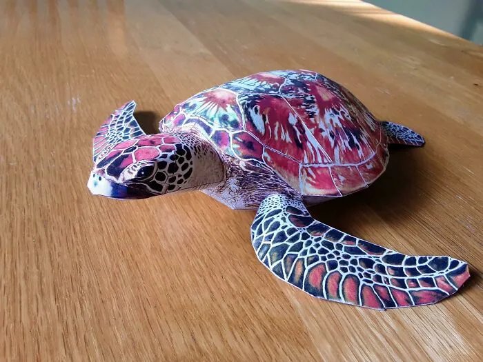 a paper colorful turtle on the table