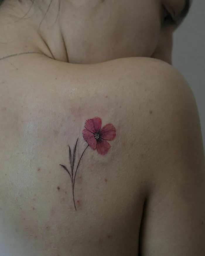 Poppies