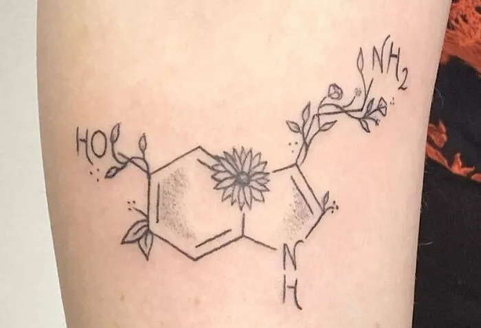 Molecule Of Seratonin