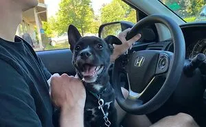 If The World Feels Like A Terrible Place, Here Are 50 Of The Most Wholesome Things People Shared Online To Make Each Other’s Day (New Pics)
