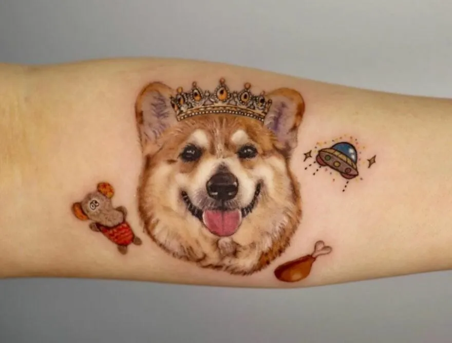 Cute Corgi