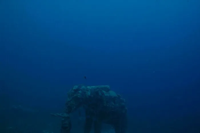 Una estatua de elefante sumergida. Dahab, Egipto