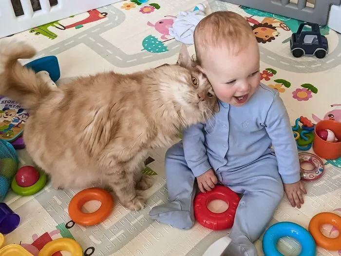 My Baby Is My Cat's Most Favorite Human