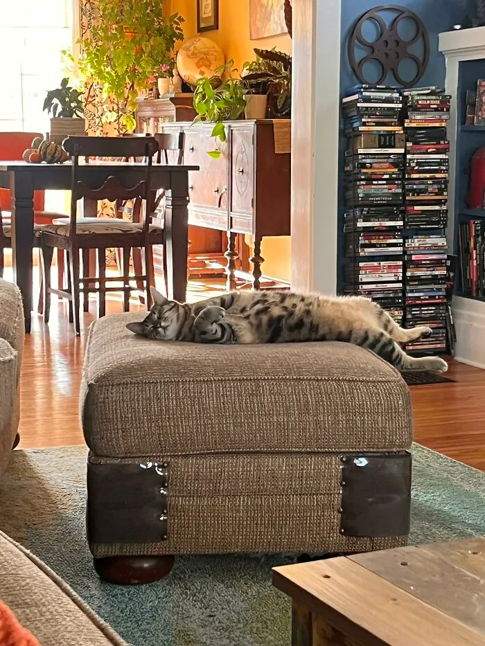 I Mean, That’s One Way To Do It…