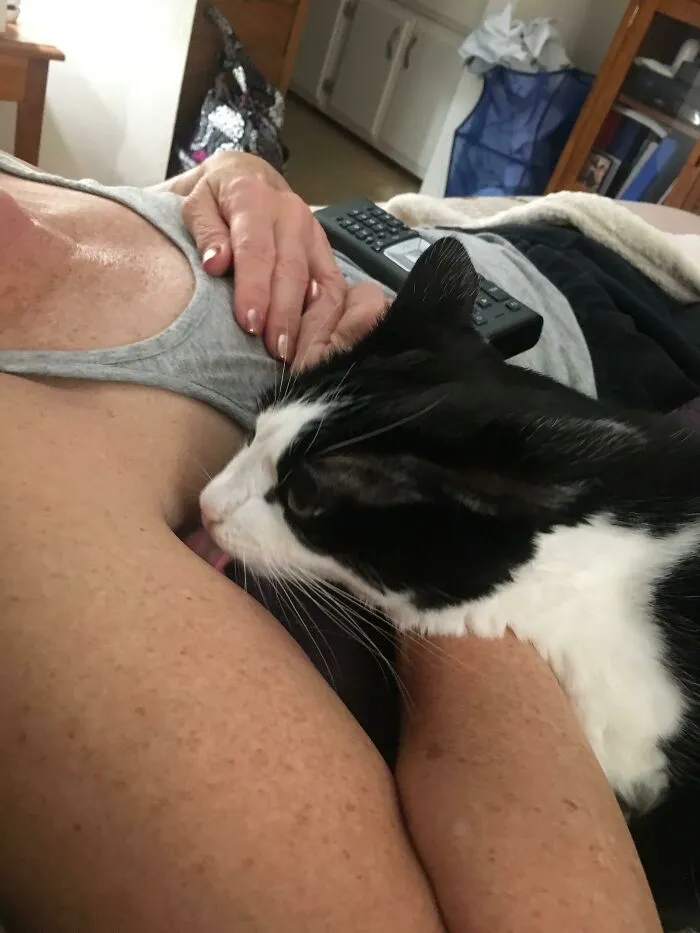 Luna The Licker Of Armpits