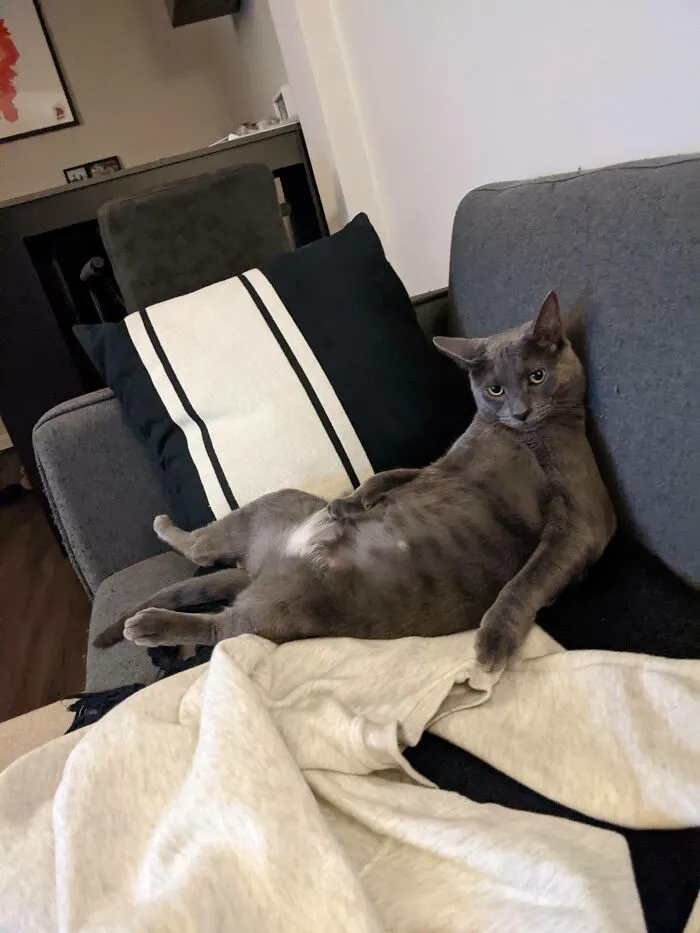He Embraced Couch Sitting
