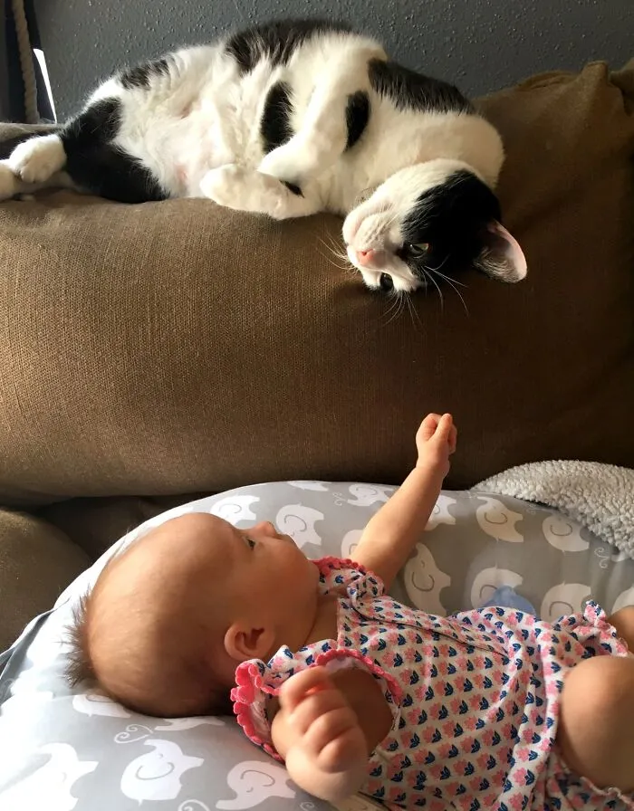 I Think They're Gonna Be Friends