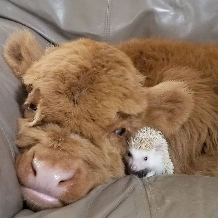 Two I Haven't Seen Hang Out Before