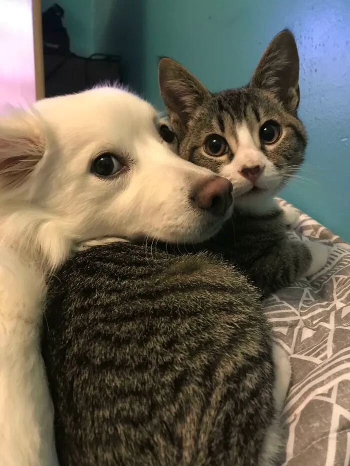 These Two, Who Are Clearly Up To No Good