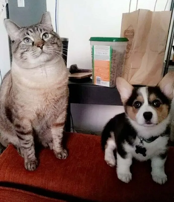 Neptune & Moxy