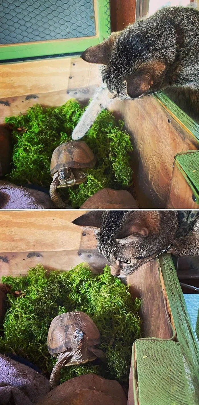 The Cutest Duo