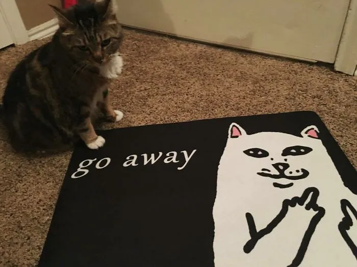 Go Away Rug