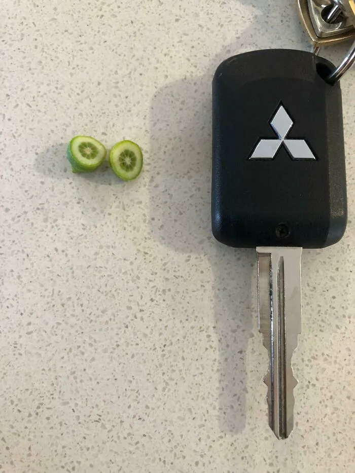 Mi primera cosecha de limón. No tenía un plátano para la escala