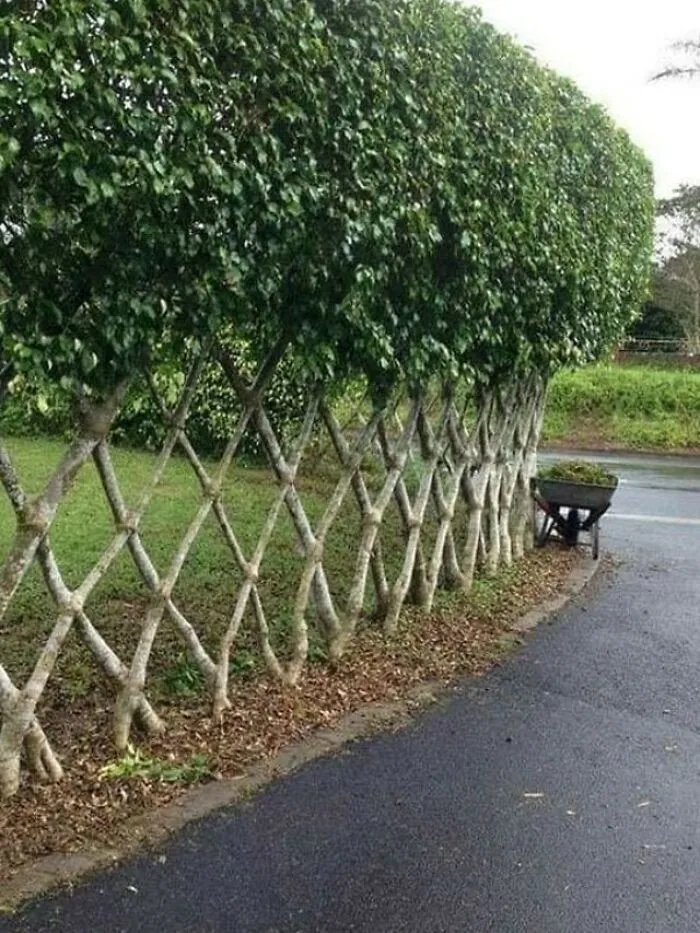 How?