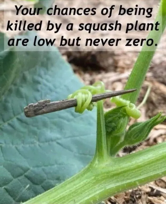 Be Careful Out There!