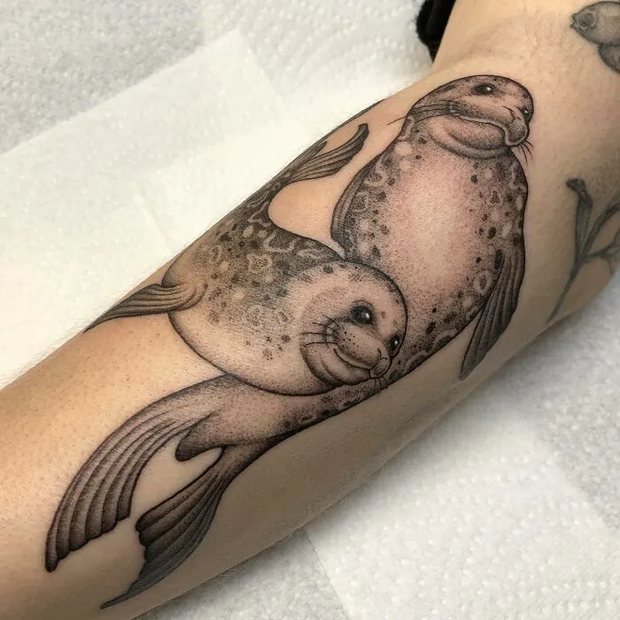 Super Cute Seals For Noora