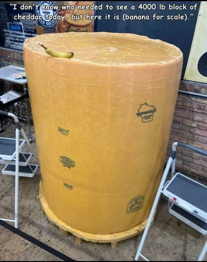 This Cheese