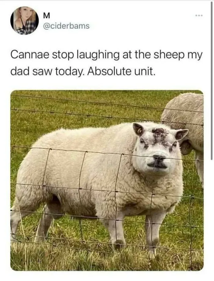 Baa Baa Motherf*©ke®s