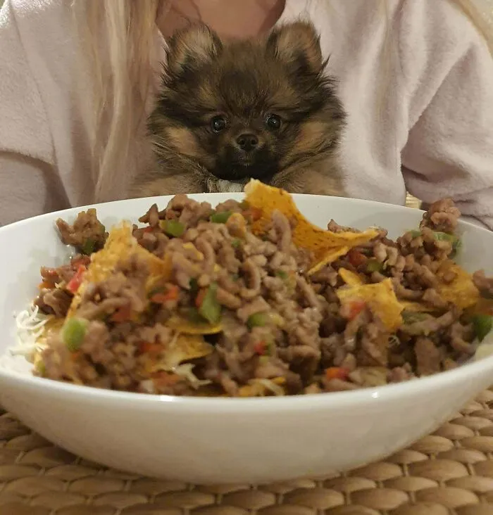 Someone Wants Nachos