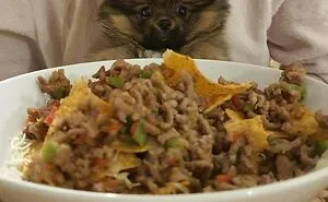 95 Photos Of Pomeranians For Your Daily Dose Of Puppy Cuteness