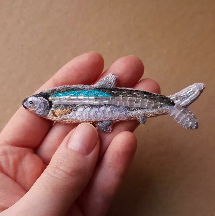 A Fish