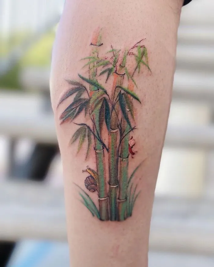 Snails And Bamboo