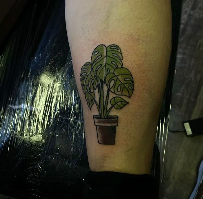 Calf tattoo of a potted Monstera plant, showcasing a unique and cool design.